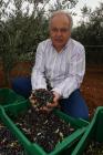 Duilio Belić nella raccolta di olive
