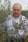 Duilio Belić holding an olive tree branch, portrait
