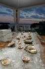  Fresh raw oysters on ice