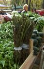  Mazzo di asparagi selvatici