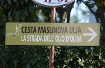  Istrian olive oil roads