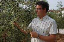  Sandi Chiavalon in his own olive grove - portrait