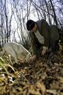  Truffle hunter with dog