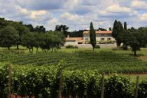  St. Meneghetti vineyard