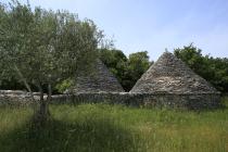  Olivenbaum und Kažun (Schutzhütte aus Stein, die in früheren Zeiten die Bauern und Hirten gebaut haben)