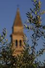 Olivenbaumzweig und Glockenturm