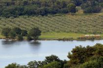  Oliveto vista panoramica - Zelena laguna Parenzo