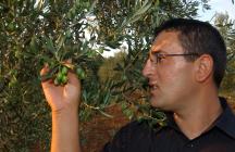  Manuel Grubić in his own olive grove - portrait