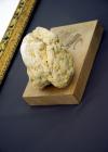  Guinness world record truffle
