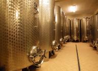  Wine cellar Kozlović
