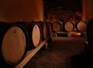  Franko Radovan - wine cellar