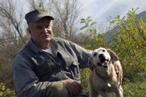  Truffle-hunter Vladimir Marušić  with his trained dog Lara