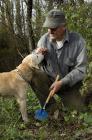  Truffle-hunter Vladimir Marušić with his trained dog Lara