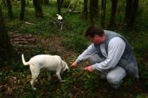 Trffeljäger Denis Tikel mit seinen Tr�ffelhunden